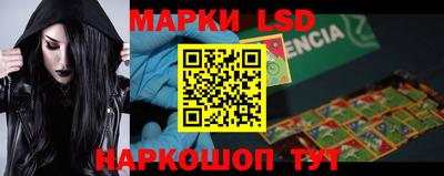 гашик Донской
