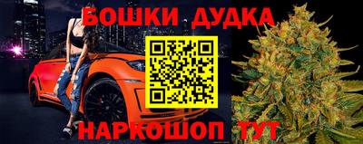 гашик Донской