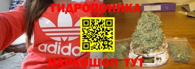 гашик Донской