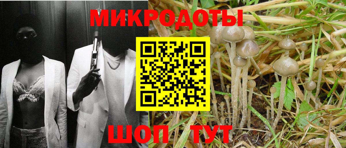 Псилоцибиновые грибы ЛСД Ногинск